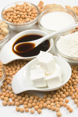 soya ürünleri ve tofu