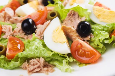 Egg and tuna salad clipart