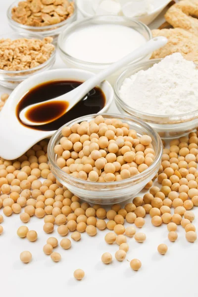 Sojabönor och olika sojaprodukter — Stockfoto