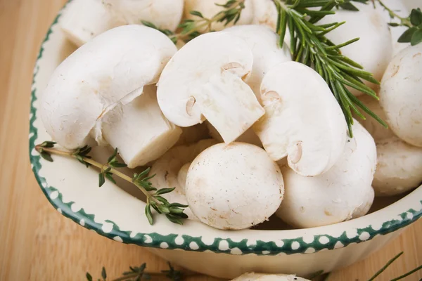 Biały jadalne grzyby — Zdjęcie stockowe