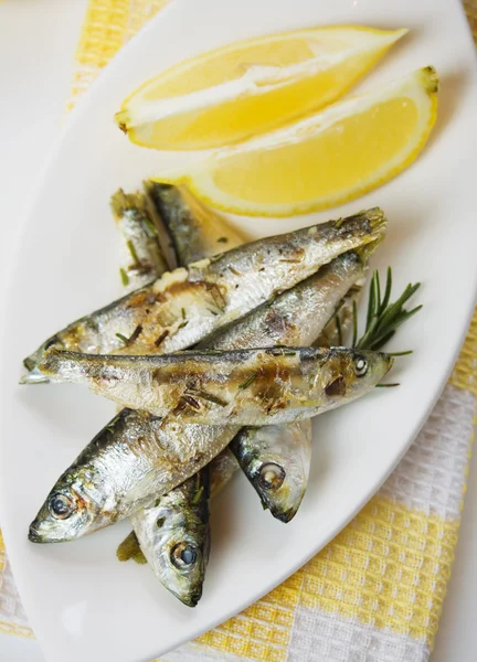 Ryby grilované sardinky — Stock fotografie