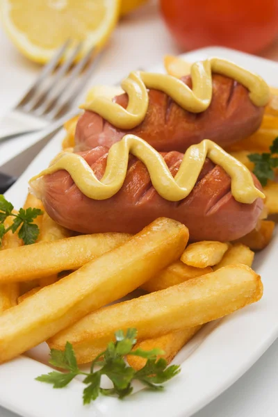 Salsiccia alla griglia con patatine fritte — Foto Stock