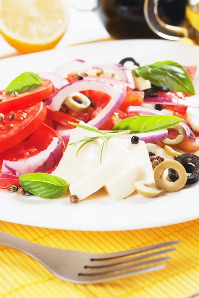 Salada caprese italiana com mussarela, manjericão e tomate — Fotografia de Stock