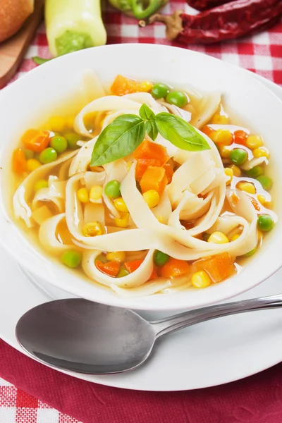 Zuppa di verdure con tagliatelle — Foto Stock