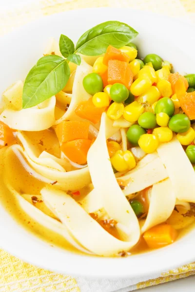 野菜のヌードル スープ — ストック写真