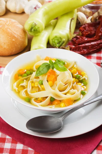Zdrowy zupa z warzywami i makaronem — Zdjęcie stockowe