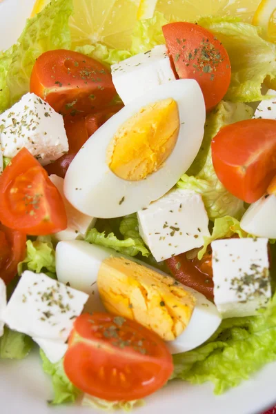 Salada de ovo e queijo — Fotografia de Stock