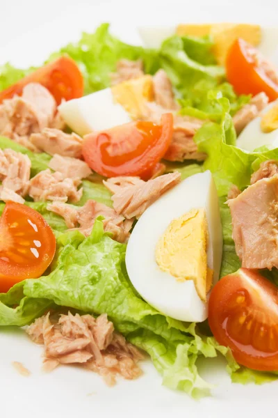 Yumurta ve ton balıklı salata — Stok fotoğraf