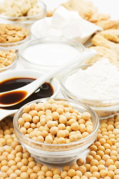 Soybean with soy products — Stock Photo, Image