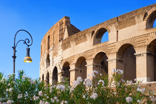 Italien. Rom. den gamla collosseo — Stockfoto