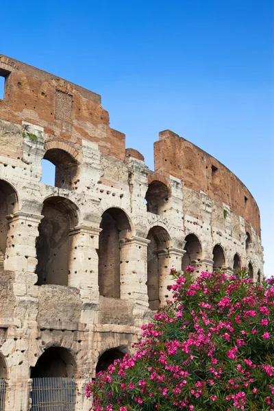 Italien. Rom. den gamla collosseo — Stockfoto
