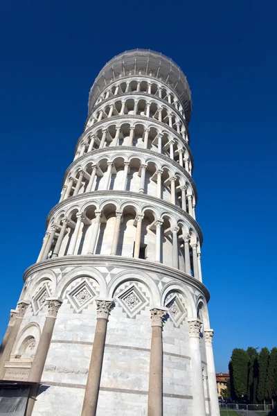 Włochy. Piza. Krzywa Wieża w Pizie . — Zdjęcie stockowe