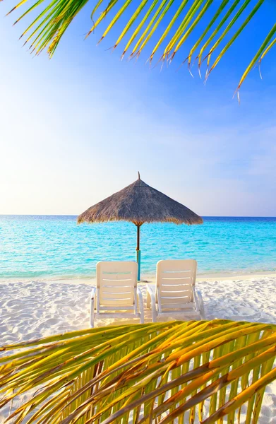 Sonnenschirm und Liegestühle — Stockfoto