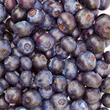 bilberry meyveler