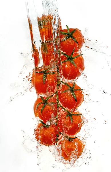 Branch of tomatoes in water splashes — Stock Photo, Image