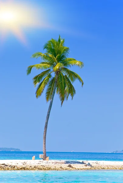 海で熱帯の島のヤシの木。モルディブ — ストック写真