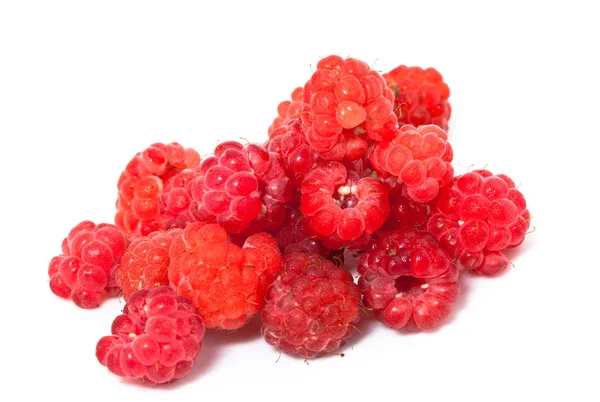 树莓在白色背景上的成熟的浆果 — 图库照片