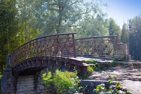 The old destroyed bridge in park — Stock Photo, Image