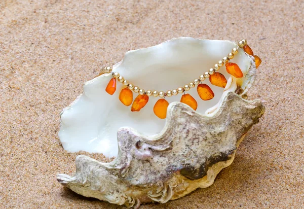 The exotic sea shell with amber beads lies on sand — Stock Photo, Image