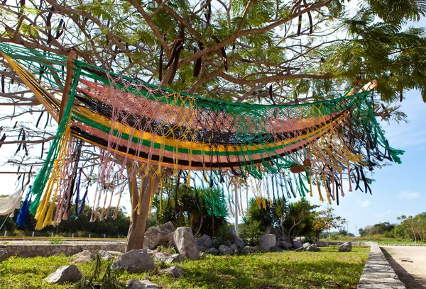 Mexico. A traditional hammock — Stock Photo, Image