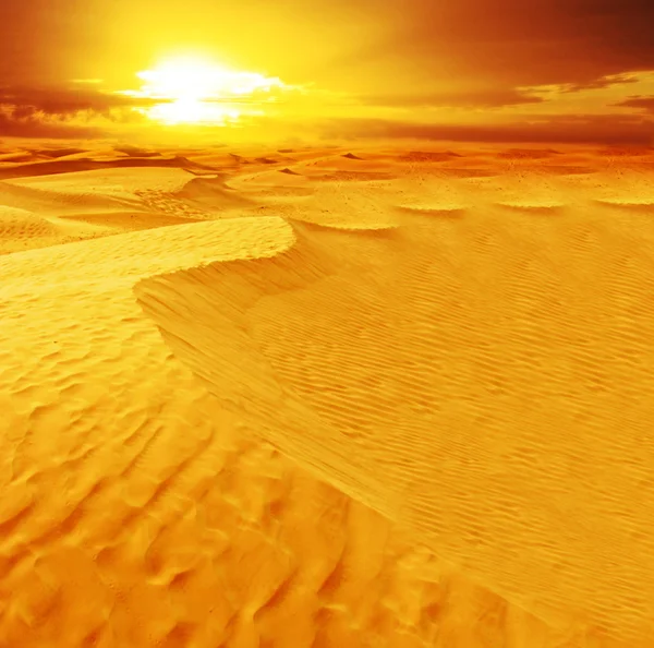 Paysage du désert — Photo