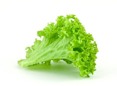 Lettuce clipart