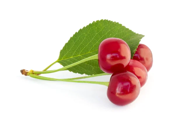 Červené cherry — Stock fotografie