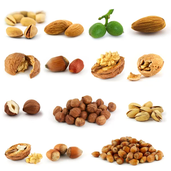 Set of nuts — Stock Photo, Image