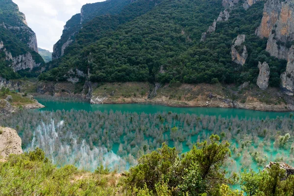 카탈로니아, 스페인에서에서 몽 rebei 협곡 — 스톡 사진
