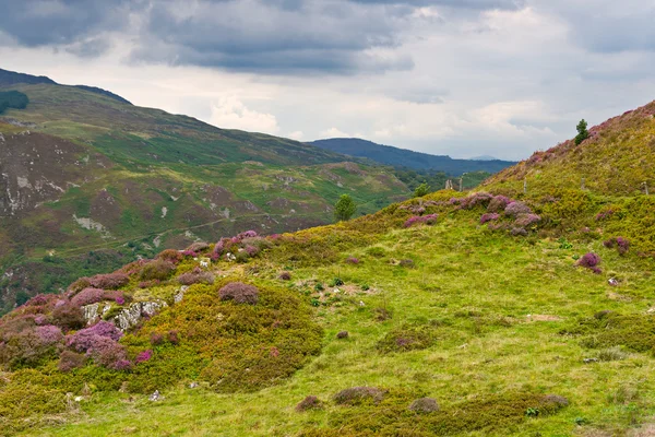 Precipice kävellä Snowdonia, Wales — kuvapankkivalokuva