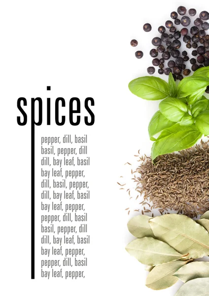 stock image Spices on white background. With sample text