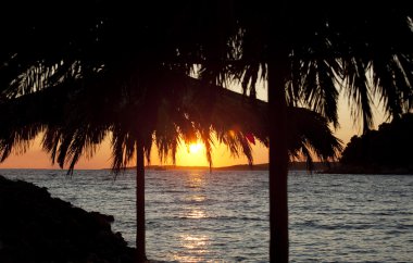 Stock Photo: Coconut palms and sand beach clipart