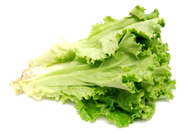 Kopfsalat — Stockfoto