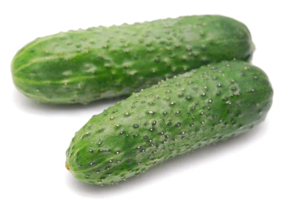 Twee komkommers — Stockfoto