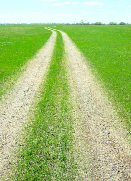 Road in field — Stock Photo, Image