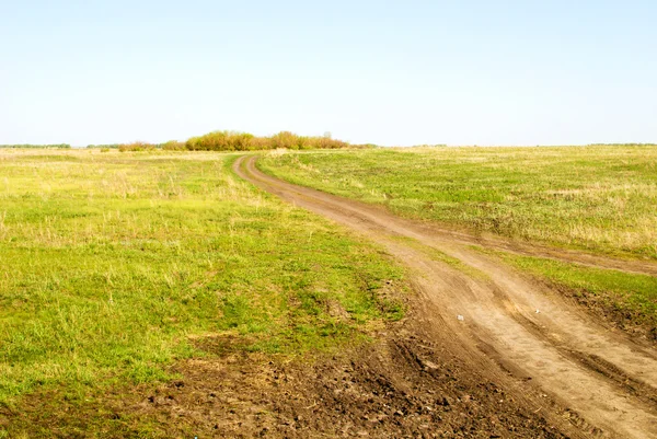 Road in field — Stock Photo, Image