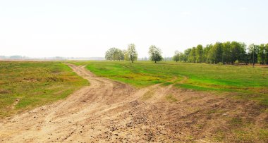 Road in field clipart