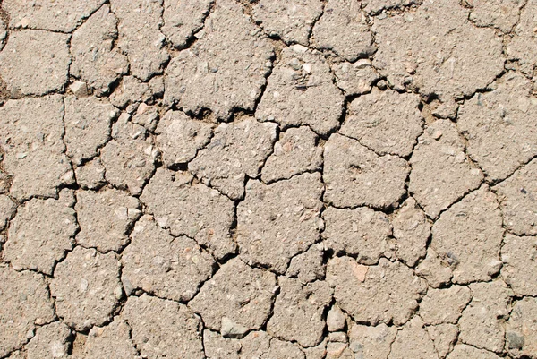 Grietas en el asfalto —  Fotos de Stock