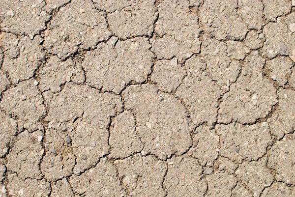 Spaccature sull'asfalto — Foto Stock