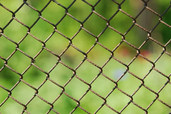 Drátěný plot — Stock fotografie