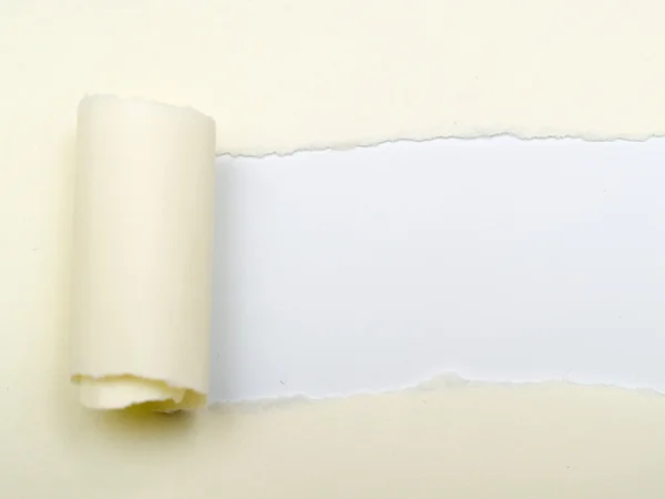 Roll_paper — Zdjęcie stockowe