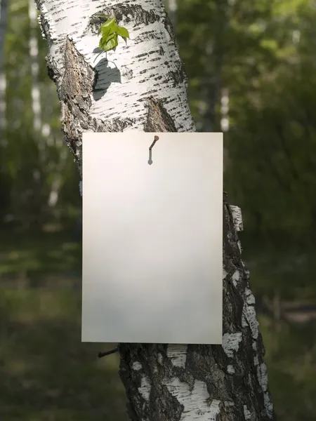 Paper _ tree — Foto de Stock