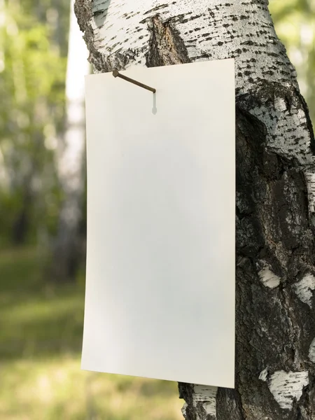 Paper_tree — Stock fotografie