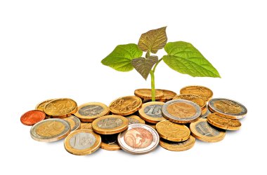 Sapling growing from pile of coins clipart