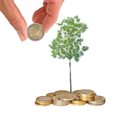 Tree growing from coins clipart