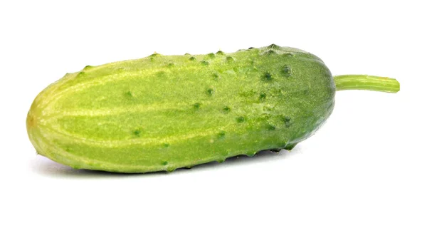 Salatalık beyaz arkaplanda izole edildi — Stok fotoğraf