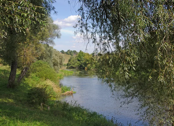 Річка на літо — стокове фото