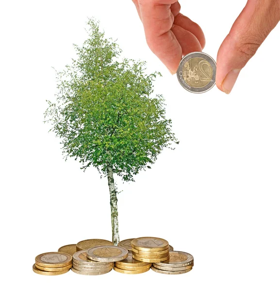 Drzewa rosnące z monet — Zdjęcie stockowe