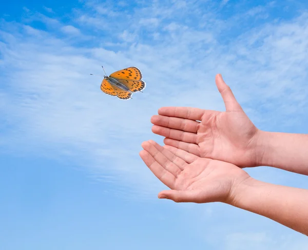 Butterfly flying from hand — Stock Photo, Image