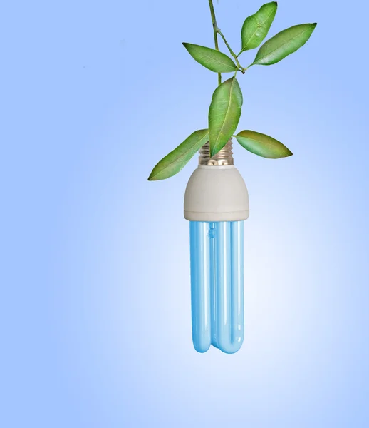 Symbol of green energy — Stock Photo, Image